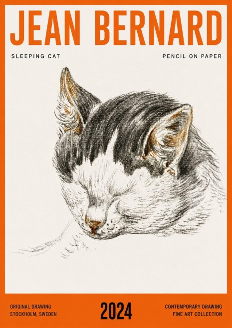 Jean Bernard Sleeping Cat V No4 - Poszter