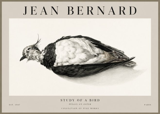 Jean Bernard Study of a Bird II No1 - Poszter