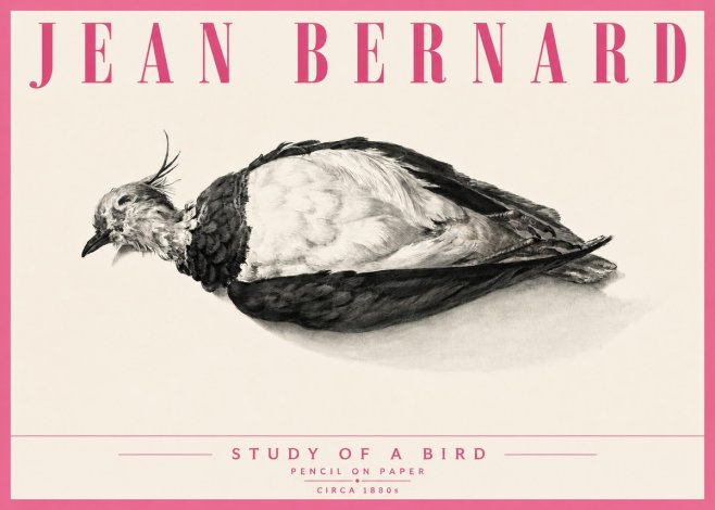 Jean Bernard Study of a Bird II No6 - Poszter