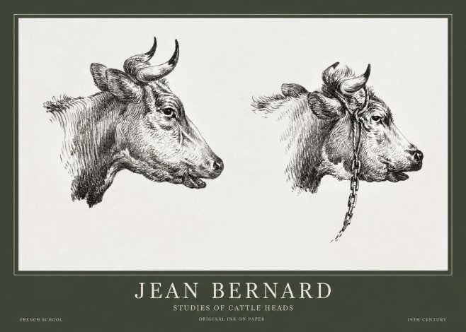 Jean Bernard Studies of Cattle Heads No1 - Poszter