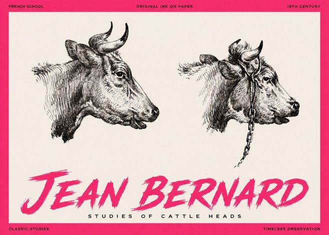 Jean Bernard Studies of Cattle Heads No3 - Poszter