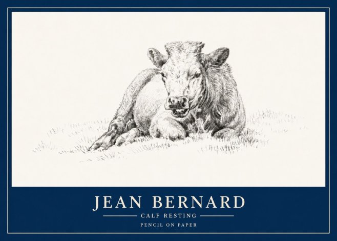 Jean Bernard Calf Resting No3 - Poszter