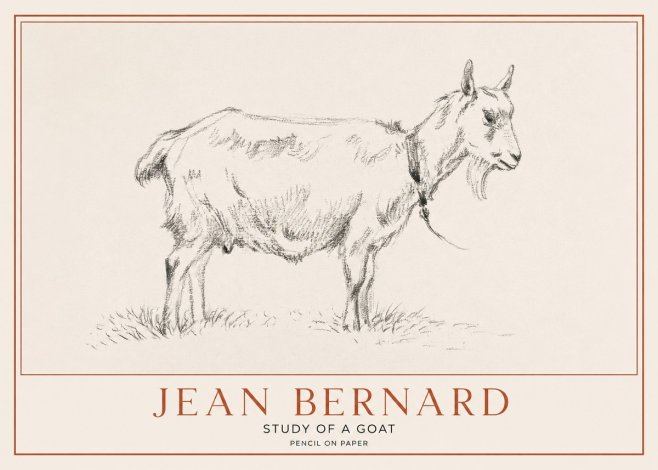 Jean Bernard Study of a Goat III No1 - Poszter