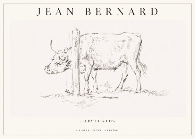 Jean Bernard Study of a Cow VII No1 - Poszter