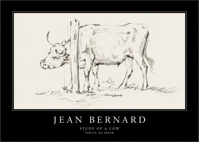 Jean Bernard Study of a Cow VII No4 - Poszter