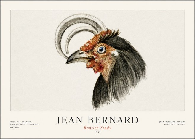 Jean Bernard Rooster Study No1 - Poszter