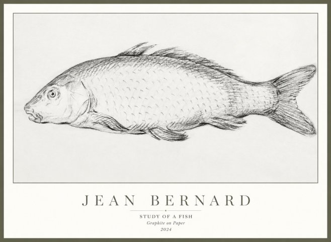 Jean Bernard Study of a Fish III No3 - Poszter