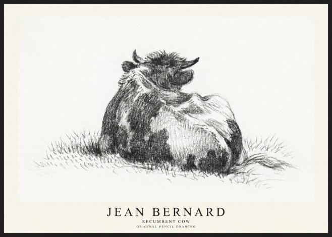 Jean Bernard Resting Highland Cow No3 - Poszter