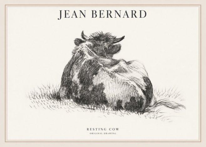 Jean Bernard Resting Highland Cow No6 - Poszter