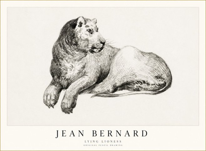 Jean Bernard Lying Lioness No1 - Poszter