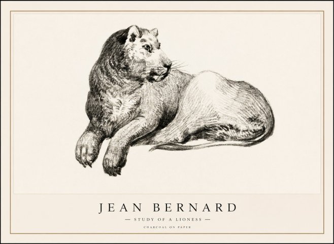 Jean Bernard Lying Lioness No2 - Poszter