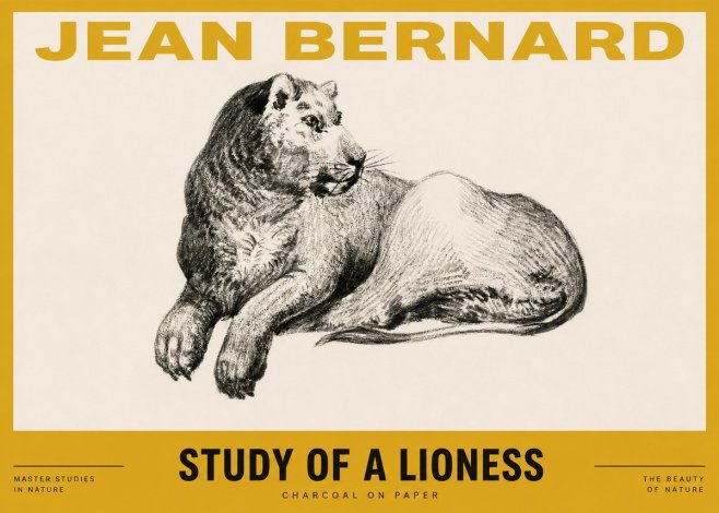 Jean Bernard Lying Lioness No4 - Poszter