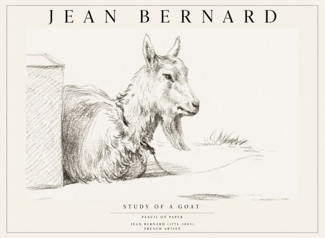 Jean Bernard Study of a Goat IV No1 - Poszter