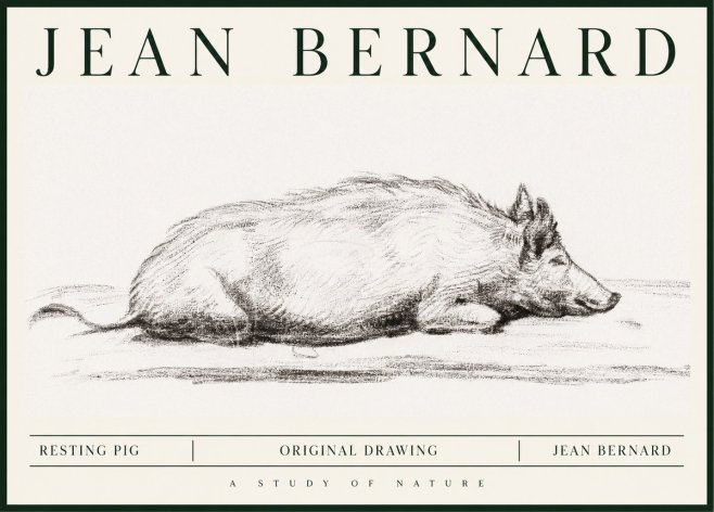 Jean Bernard Resting Pig I No1 - Poszter