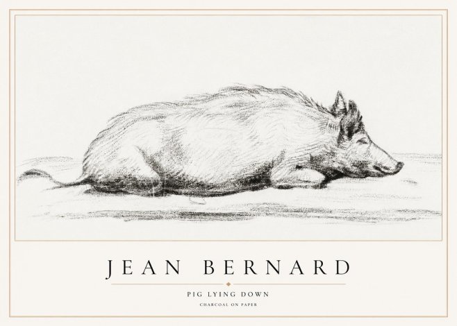 Jean Bernard Resting Pig I No2 - Poszter