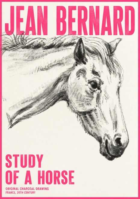 Jean Bernard Study of a Horse VIII No6 - Poszter
