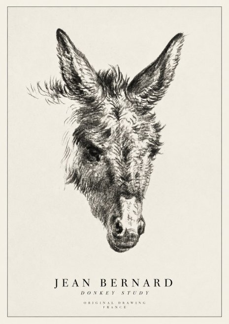 Jean Bernard Donkey Study IV No1 - Poszter
