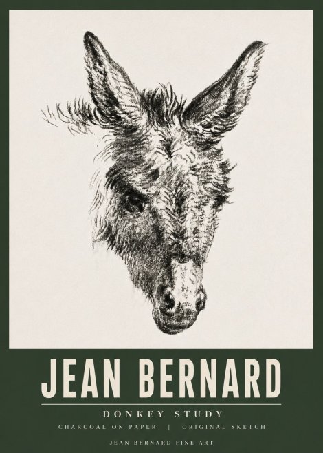 Jean Bernard Donkey Study IV No5 - Poszter