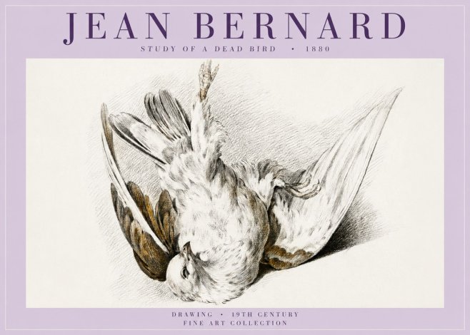 Jean Bernard Study of a Dead Bird No5 - Poszter
