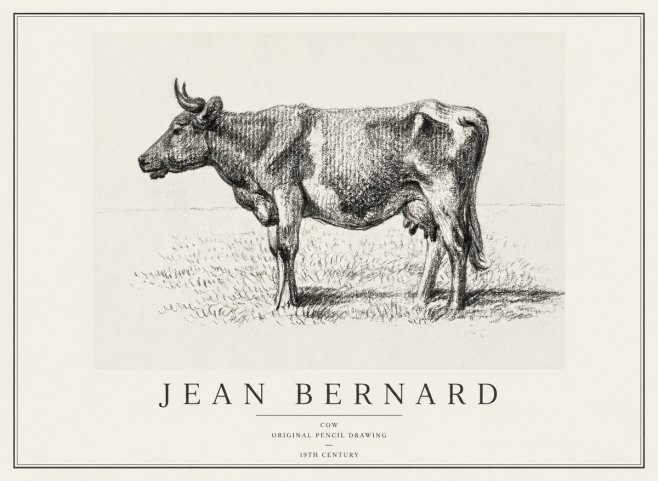 Jean Bernard Cow I No1 - Poszter