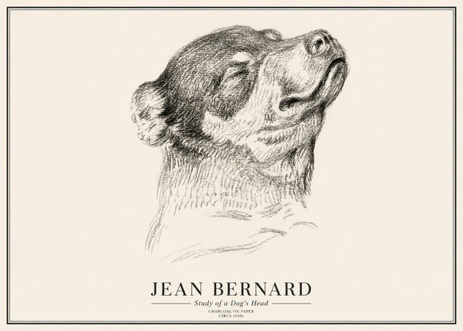 Jean Bernard Study of a Dog III No3 - Poszter