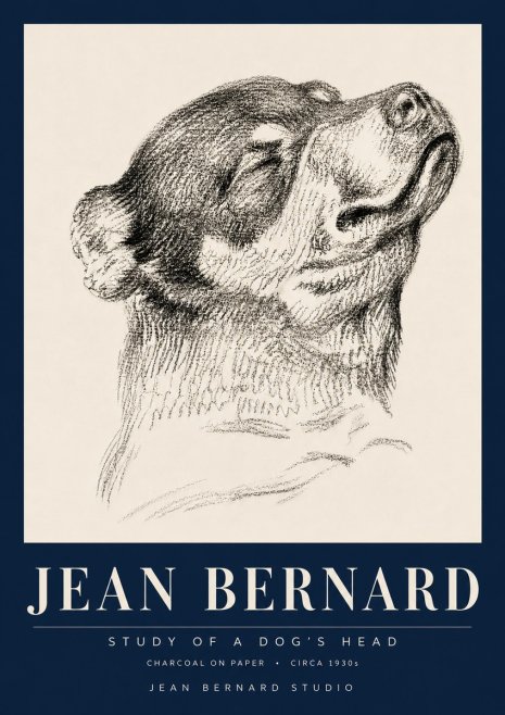 Jean Bernard Study of a Dog III No6 - Poszter