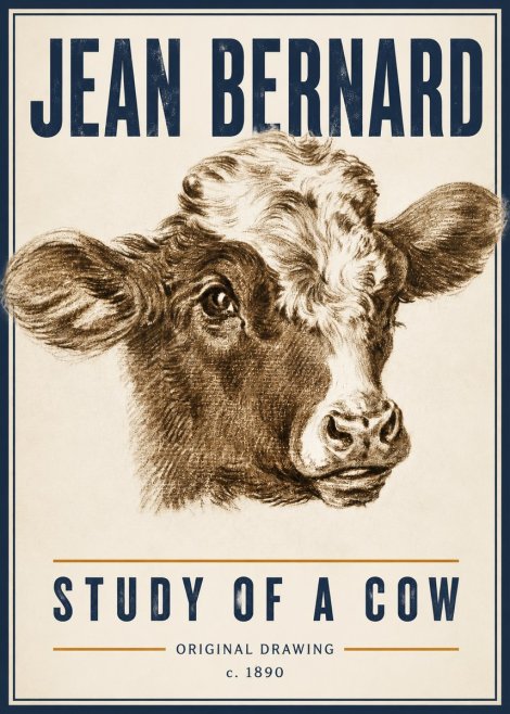 Jean Bernard Study of a Cow VIII No6 - Poszter