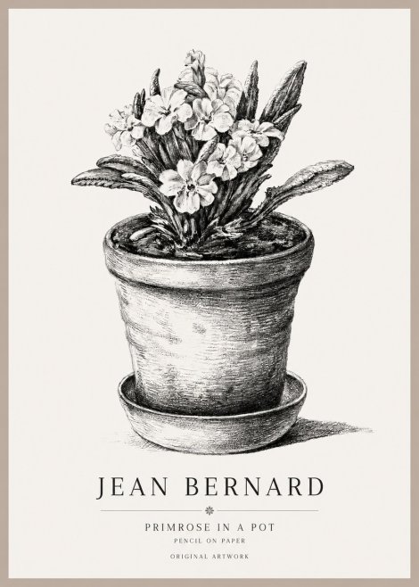 Jean Bernard Potted Primrose No2 - Poszter