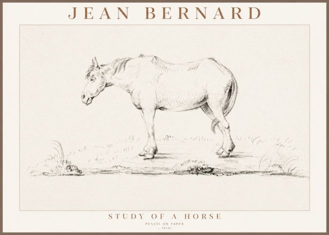 Jean Bernard Study of a Horse IX No3 - Poszter