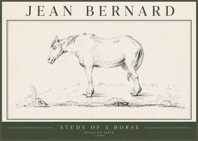 Jean Bernard Study of a Horse IX No5 - Poszter