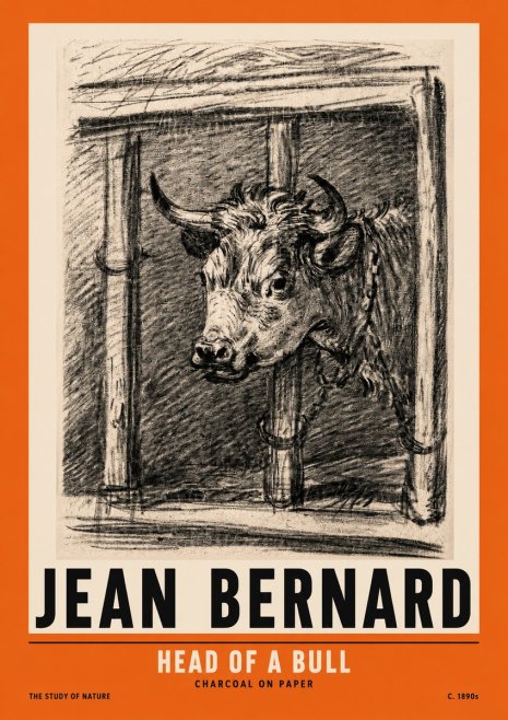 Jean Bernard Study of a Bull II No3 - Poszter