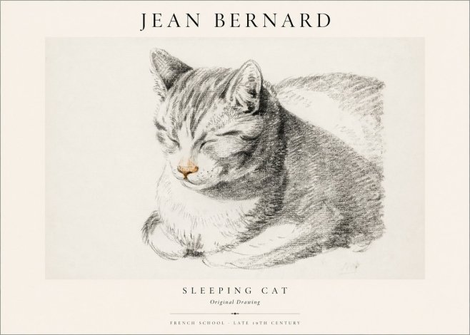 Jean Bernard Sleeping Cat VI No1 - Poszter