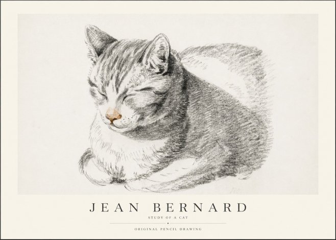 Jean Bernard Sleeping Cat VI No2 - Poszter