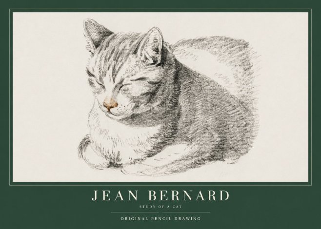 Jean Bernard Sleeping Cat VI No4 - Poszter