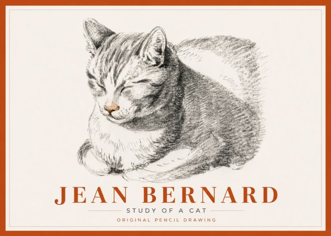 Jean Bernard Sleeping Cat VI No6 - Poszter