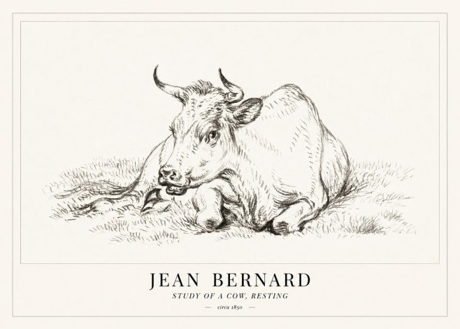 Jean Bernard Study of a Cow, Resting No1 - Poszter