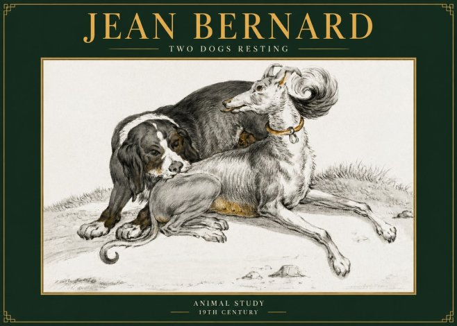 Jean Bernard Two Dogs Resting No5 - Poszter