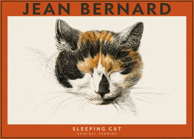 Jean Bernard Cat Study VIII No5 - Poszter
