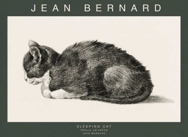 Jean Bernard Sleeping Cat VII No1 - Poszter