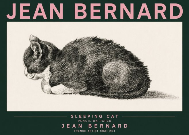 Jean Bernard Sleeping Cat VII No3 - Poszter