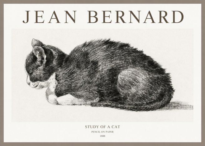 Jean Bernard Sleeping Cat VII No6 - Poszter