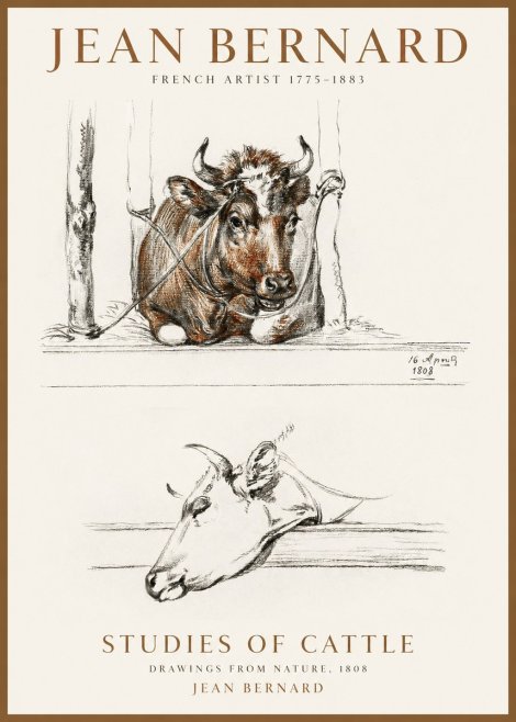 Jean Bernard Studies of Cattle III No1 - Poszter