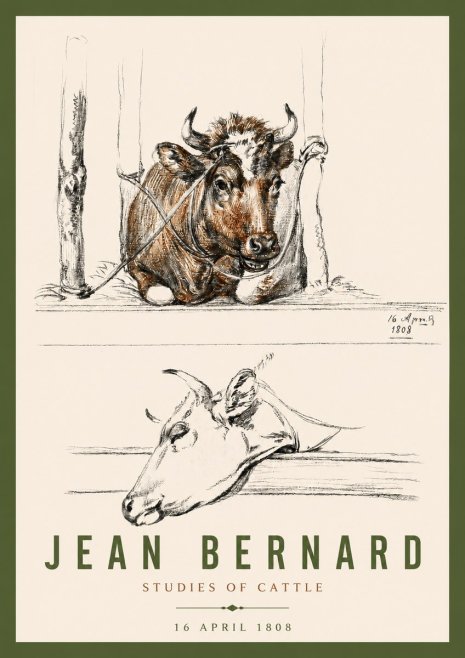 Jean Bernard Studies of Cattle III No4 - Poszter