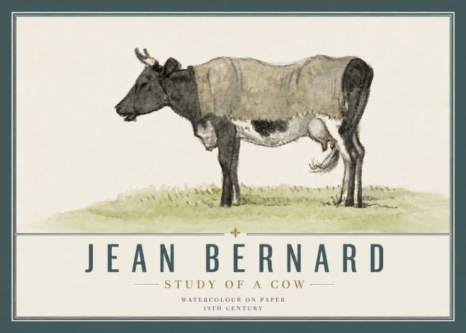 Jean Bernard Study of a Cow IX No5 - Poszter
