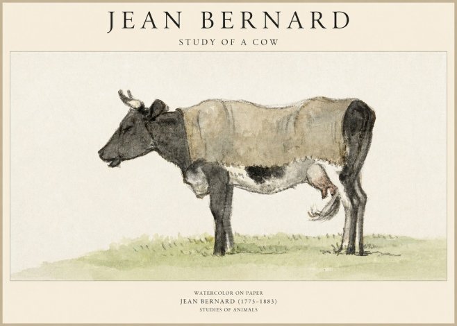 Jean Bernard Study of a Cow IX No6 - Poszter