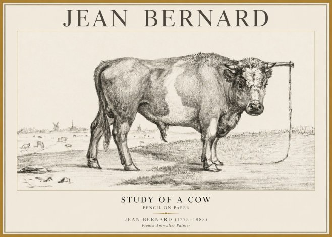 Jean Bernard Study of a Bull III No5 - Poszter