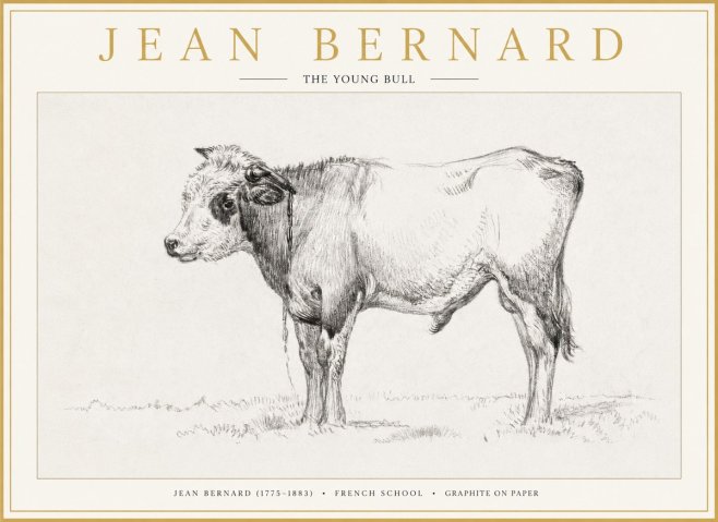 Jean Bernard The Young Bull No1 - Poszter