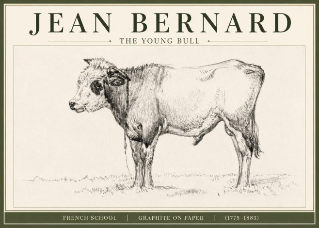 Jean Bernard The Young Bull No3 - Poszter