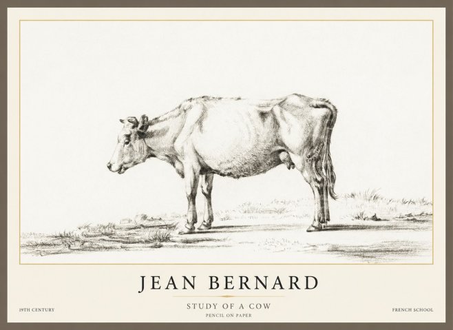 Jean Bernard Study of a Cow XI No1 - Poszter