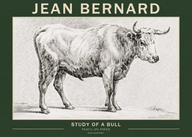 Jean Bernard Study of a Bull IV No2 - Poszter